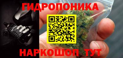 Альфа ПВП Бийск