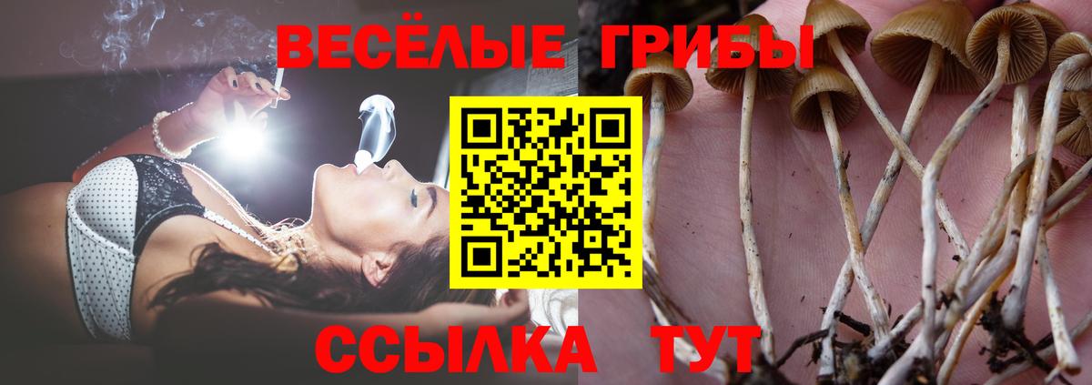 Ачинск  Галлюциногенные грибы Psilocybe  Вход с VPN 